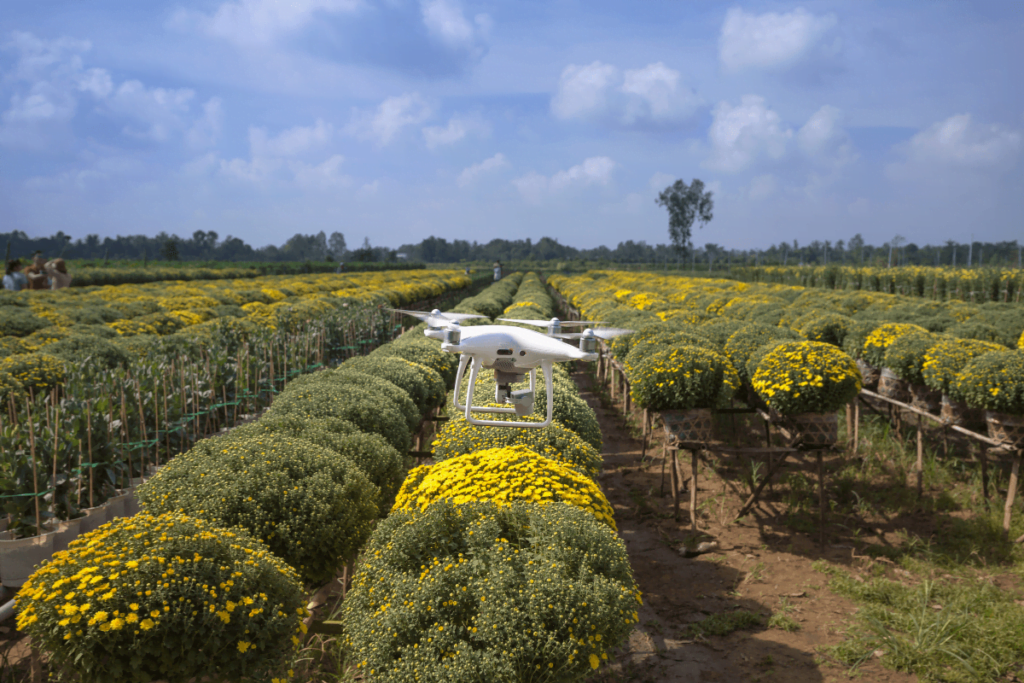 Drones na Agricultura: Revolução no Campo