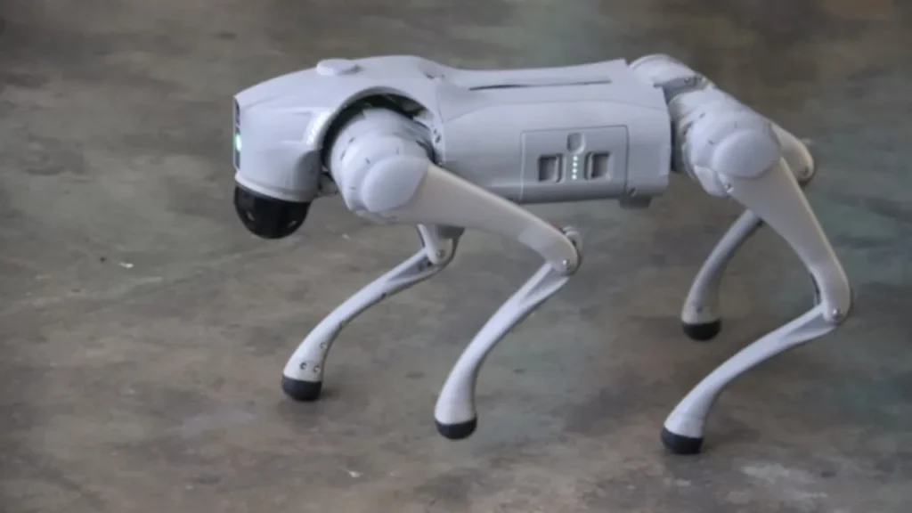 cães robô cães robô