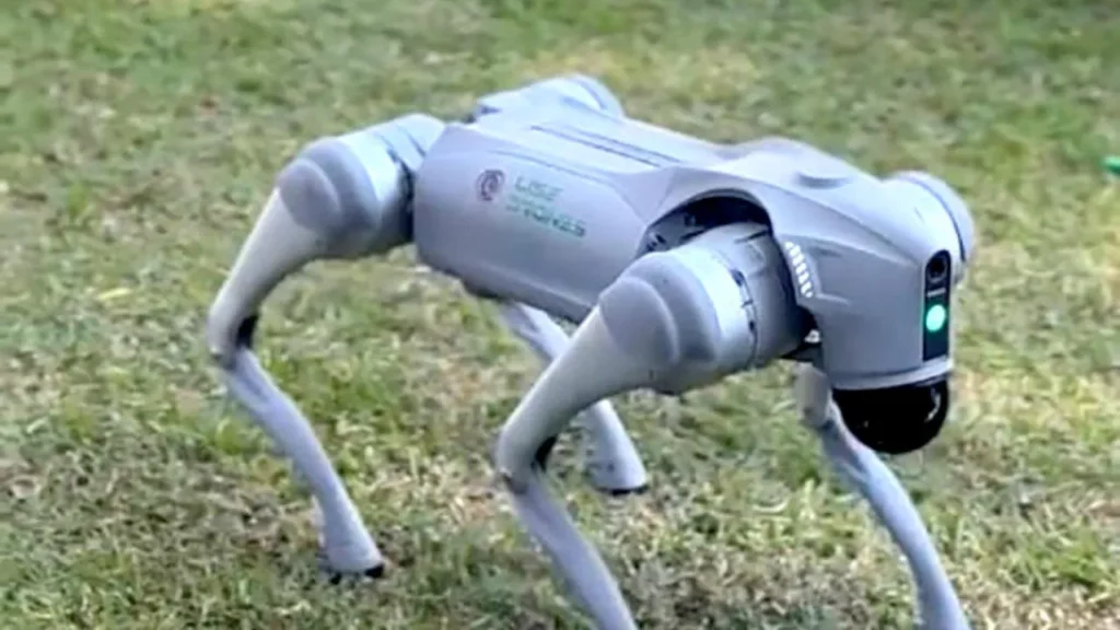 cães robô
